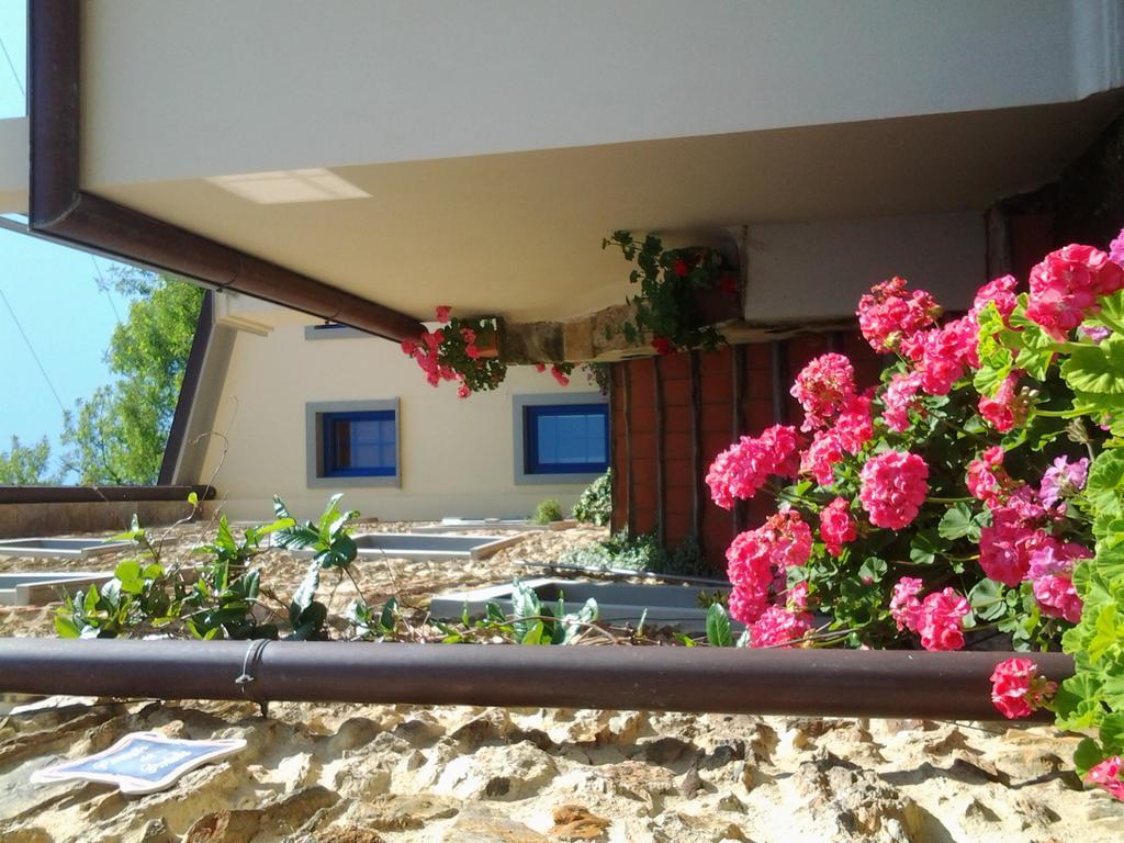 Casa Vacanze Al Settimo Cielo Massa  Exterior foto